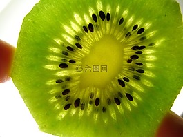 獼猴桃,特寫,水果