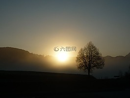 陽光,日落,影子
