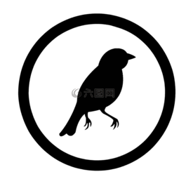 鳥,生物,生活