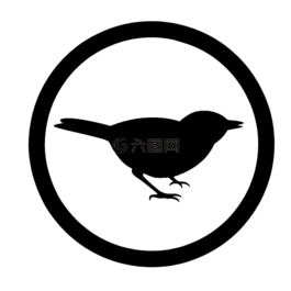 鳥,生物,生活
