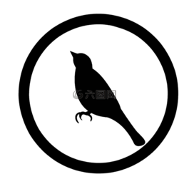 鳥,生物,生活