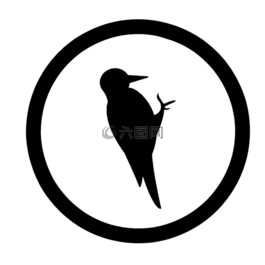 鳥,生物,生活