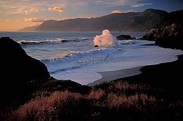 海灘,荒野,景觀