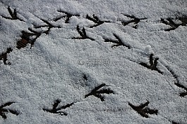 冬天,打印,追蹤