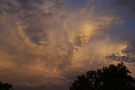 晚上,云計(jì)算,樹