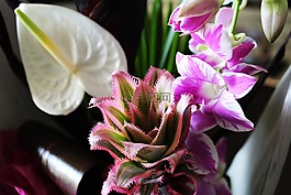 插花,菠蘿,蘭花
