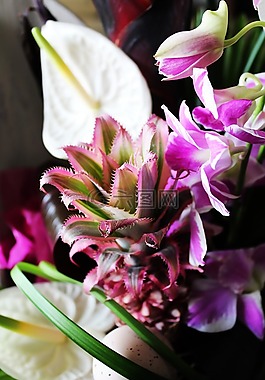 插花,菠蘿,蘭花