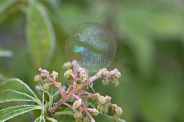 肥皂泡沫,模式,結(jié)構(gòu)