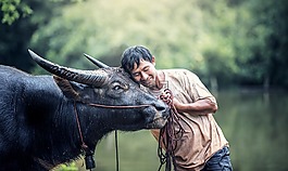 動(dòng)物,男子,農(nóng)業(yè)