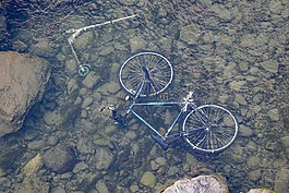 河,水,輪