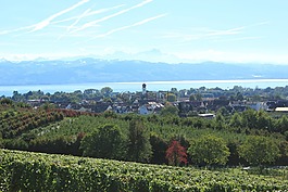 博登湖,湖,kressbronn