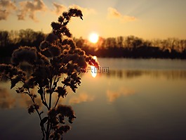 日落,太陽,晚上