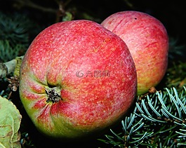 蘋果,水果,紅色
