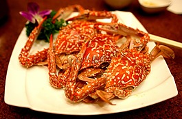 蟹,海,動(dòng)物