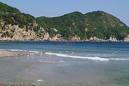 海,海鷗,天空