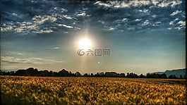 夏季,太陽,字段