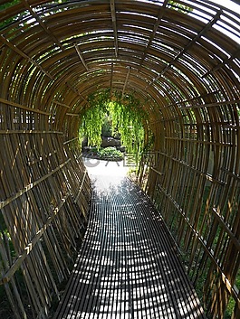 竹隧道,走道,拱