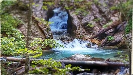 水,樹,峽谷