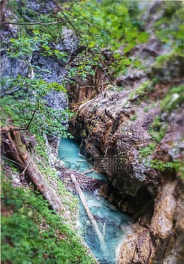 水,樹,峽谷