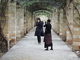 攝影師,夫人,構(gòu)成