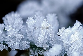 冰,成熟,霜