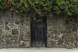門(mén),古代,木材