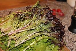 火箭,沙拉,綠色