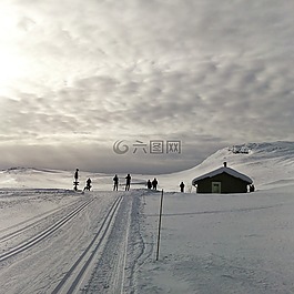 雪,冬天,景觀