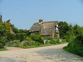 國家,山寨,農(nóng)村