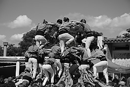 弗蘭卡,運動,團隊