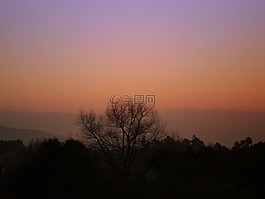 日落,樹,地平線