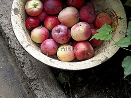 蘋(píng)果,蔬菜,水果