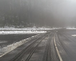 雪,霧,冬天