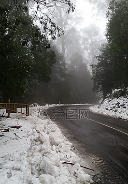 雪,霧,冬天