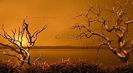 黃色,天空,的風景