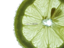 弗里施,水,滴