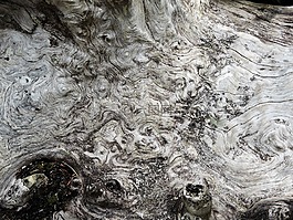 木材,節(jié),紋理