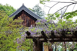 佛教,寺,大韓民國