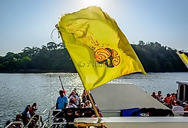 海灘,海,海洋
