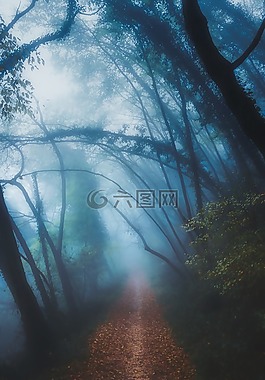 景觀,上午,日出