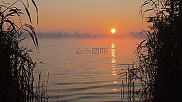 橙色的天空,黎明,霧