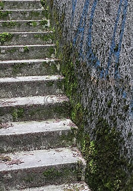 樓梯,混凝土,苔
