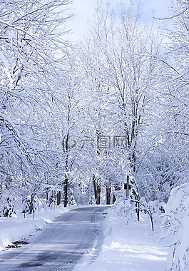 冬天,路,雪