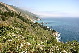 海洋,海,性質(zhì)