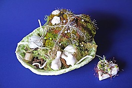 安排,秋季,德卡