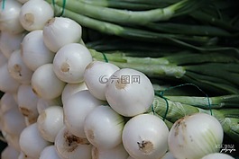 洋蔥,蔬菜,綠色