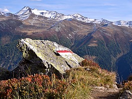 線索,山,報告