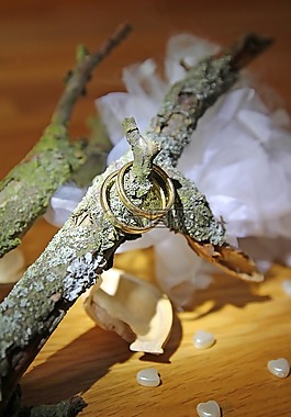 婚礼,环,装饰
