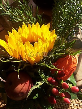 太陽(yáng)花,花束,秋花
