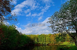池,樹,春